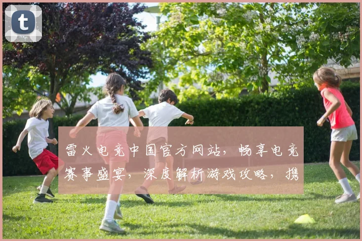雷火电竞中国官方网站，畅享电竞赛事盛宴，深度解析游戏攻略，携手共创电竞巅峰