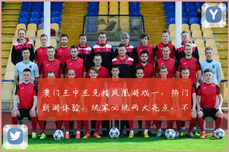 澳门王中王免精凤凰游戏一，热门新游体验，玩家必玩两大亮点，不容错过