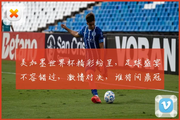 美加墨世界杯精彩纷呈，足球盛宴不容错过，激情对决，谁将问鼎冠军