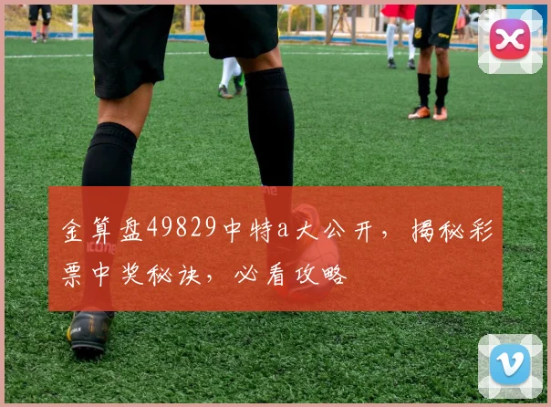 金算盘49829中特a大公开，揭秘彩票中奖秘诀，必看攻略